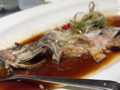 -沪碟·精菜坊(闵行店)