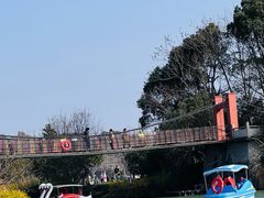 -宜兴龙背山森林公园