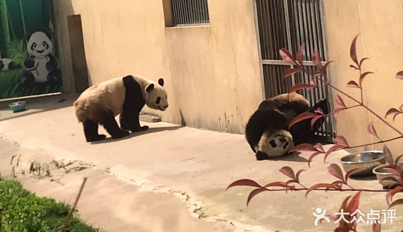 西安秦嶺野生動物園是集野生動物移地保護科普教育旅