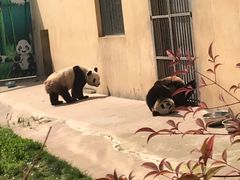 -西安秦岭野生动物园