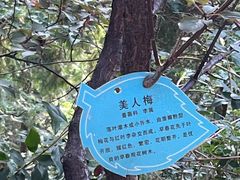-佛慧山