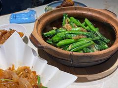 -点都德·毕德寮