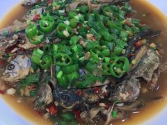 -全乐鱼馆·淳牌有机鱼直营店