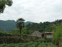 -九鲤溪瀑景区