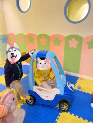 -欢乐悠游婴儿游泳(金碧花园店)