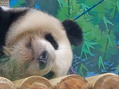 -鄂尔多斯野生动物园