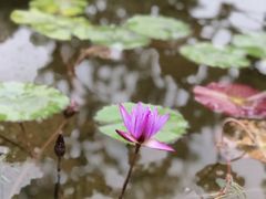 -星巴克(深圳前海企业公馆店)