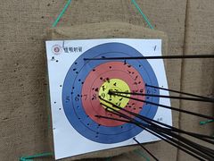 -道顺射箭·团建·骑射(张杨路店)