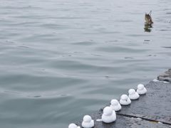 -济南大明湖景区