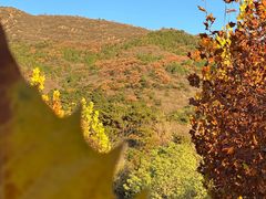 -北京十三陵国家森林公园蟒山景区