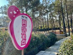 -南京枫彩漫城