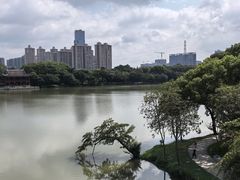 -顺峰山公园
