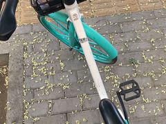 -中关村茶点