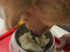 -趣玩宠物乐园寄养训犬训狗游泳池