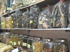 -大湾区中央湿地公园-十九涌