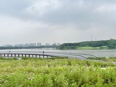-海珠湖公园