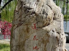 -莲花池公园