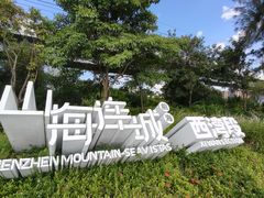 -宝安西湾红树林湿地公园