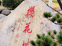 -堤角公园