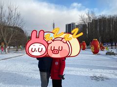 -沈阳奥体冰雪嘉年华
