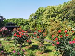 -东湖落雁景区