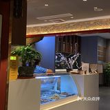 薅羊毛薅到宝啦|老四川酒楼