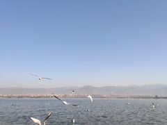 -西昌邛海湾柏樾酒店(原邛海湾柏栎度假酒店)