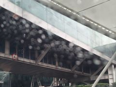 -广州白云国际机场-T2航站楼
