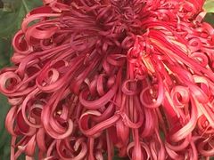 -北京植物园-展览温室