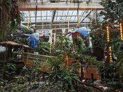 -正佳雨林生态植物园