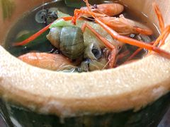 -宁波浙东大竹海景区