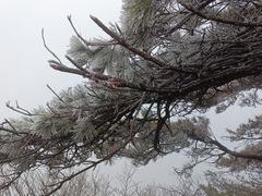 -南岳衡山风景名胜区-南岳大庙