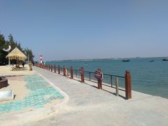 -北海金海湾红树林生态旅游区