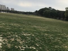 -昆山城市生态森林公园