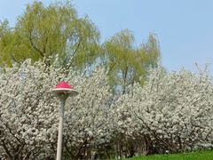 -长白岛森林公园