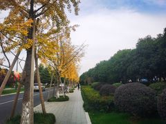 -幸福湖国际会议中心
