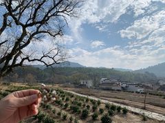 -塔川景区