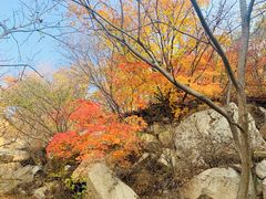 -丹东凤凰山景区