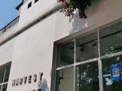 门面-收获咖啡HARVEST RESERVE(苍山店)