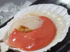 扇贝-丽江庭院·云南野生菌·海鲜火锅(鼓楼四合院店)