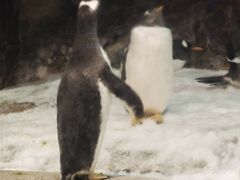 -哈尔滨波塞冬海底世界