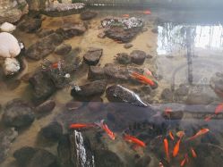 -武汉五洲整形外科医院