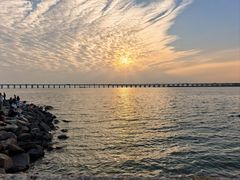 -宝安西湾红树林湿地公园