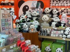 -熊猫邮局(少城店)