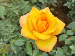 -人民公园(罗湖区)