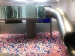 -龙格亲子游泳·水育早教运动中心(绿城店)