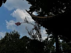 -浙江省博物馆(孤山馆区)