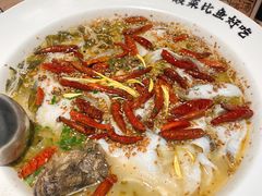 -太二酸菜鱼(群光广场店)