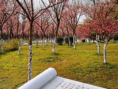 -沙市市中山公园