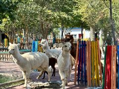 -水上乐园·欢乐世界